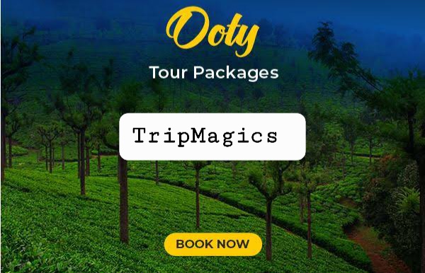 Ooty Package